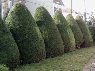 Terr'eau, Jardinier et Paysagiste en Seine-Saint-Denis