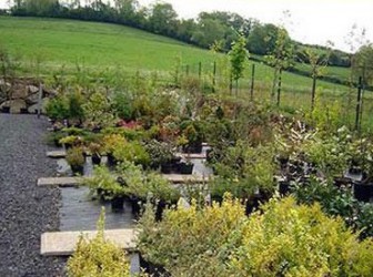 Chastanet Paysages, Jardinier et Paysagiste dans le Cantal