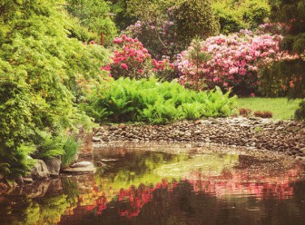 Zacharias-paysages, Jardinier et Paysagiste en Haute-Savoie