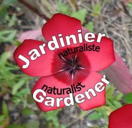 Jardi Dronne Vincent Lutton, Jardinier et Paysagiste en Charente
