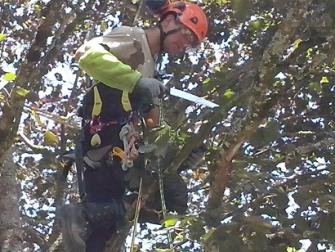 JKM MULTI-SERVICES, Jardinier et Paysagiste dans le Loiret