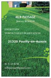 MLB PAYSAGE, Jardinier et Paysagiste en France